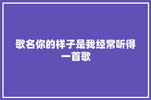 歌名你的样子是我经常听得一首歌