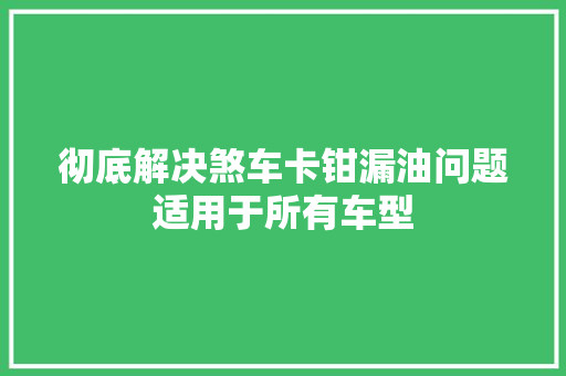 彻底解决煞车卡钳漏油问题适用于所有车型