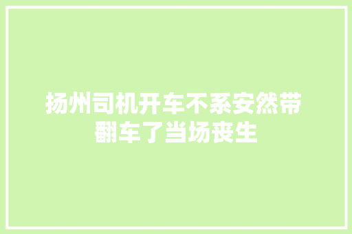 扬州司机开车不系安然带 翻车了当场丧生