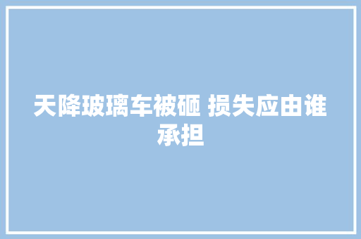 天降玻璃车被砸 损失应由谁承担