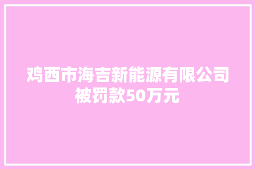 鸡西市海吉新能源有限公司被罚款50万元