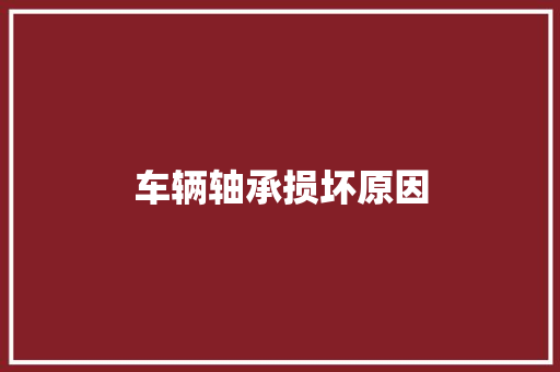 车辆轴承损坏原因