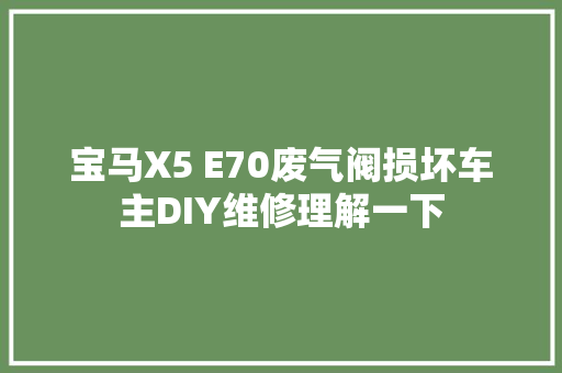 宝马X5 E70废气阀损坏车主DIY维修理解一下