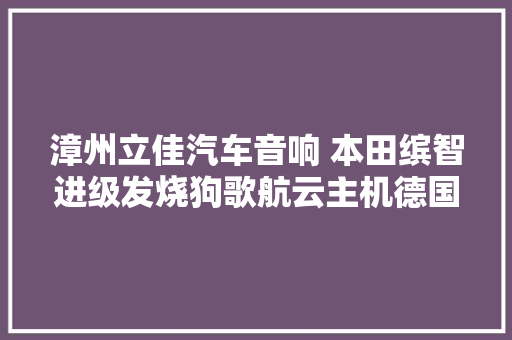 漳州立佳汽车音响 本田缤智进级发烧狗歌航云主机德国RS wave1652音符汽车音响