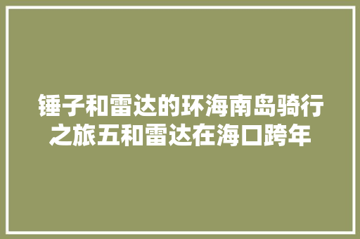 锤子和雷达的环海南岛骑行之旅五和雷达在海口跨年