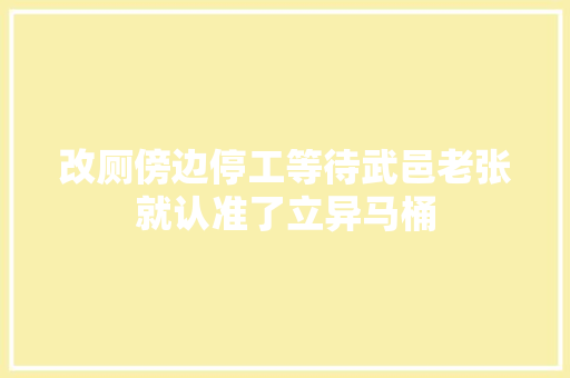 改厕傍边停工等待武邑老张就认准了立异马桶