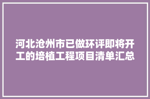 河北沧州市已做环评即将开工的培植工程项目清单汇总表 汽车知识