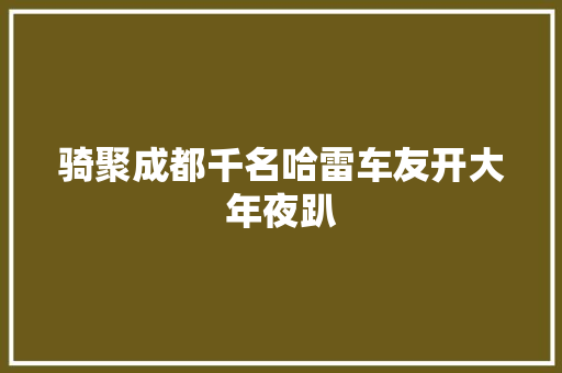 骑聚成都千名哈雷车友开大年夜趴
