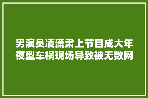 男演员凌潇肃上节目成大年夜型车祸现场导致被无数网友跋扈狂奚弄