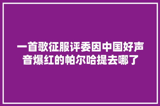 一首歌征服评委因中国好声音爆红的帕尔哈提去哪了