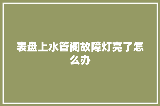 表盘上水管阀故障灯亮了怎么办