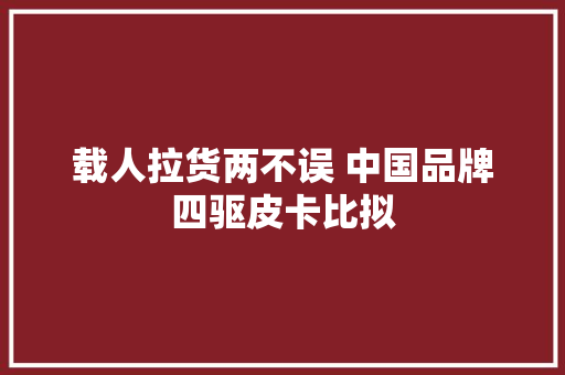 载人拉货两不误 中国品牌四驱皮卡比拟