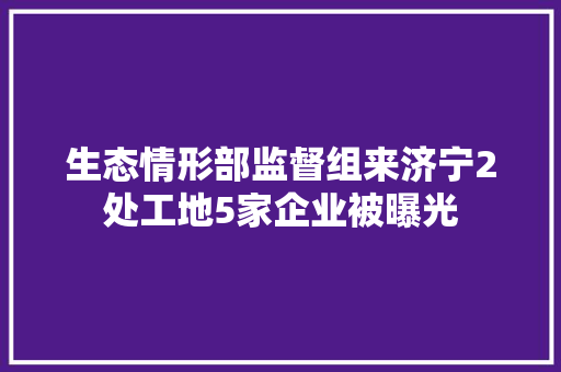 生态情形部监督组来济宁2处工地5家企业被曝光