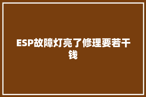 ESP故障灯亮了修理要若干钱