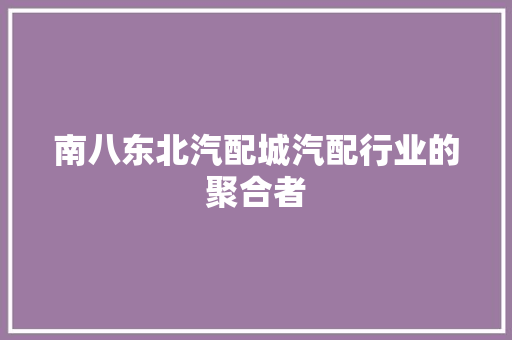 南八东北汽配城汽配行业的聚合者