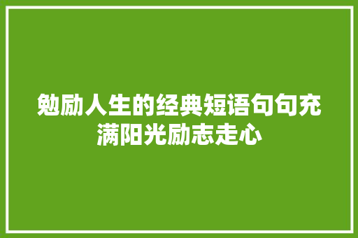 勉励人生的经典短语句句充满阳光励志走心