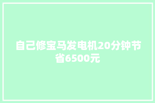 自己修宝马发电机20分钟节省6500元