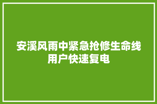 安溪风雨中紧急抢修生命线用户快速复电