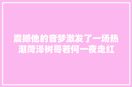 震撼他的音梦激发了一场热潮菏泽树哥若何一夜走红