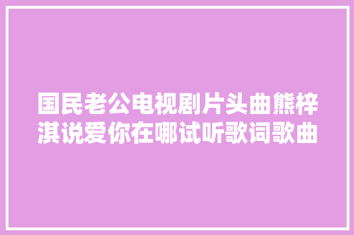 国民老公电视剧片头曲熊梓淇说爱你在哪试听歌词歌曲介绍