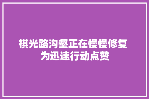 祺光路沟壑正在慢慢修复 为迅速行动点赞