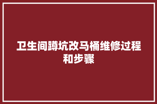 卫生间蹲坑改马桶维修过程和步骤