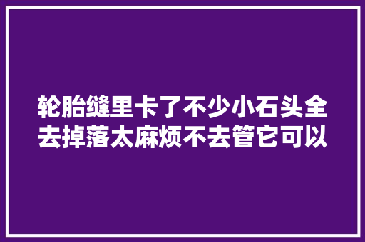 轮胎缝里卡了不少小石头全去掉落太麻烦不去管它可以吗