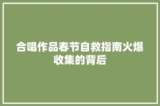 合唱作品春节自救指南火爆收集的背后