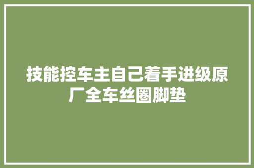 技能控车主自己着手进级原厂全车丝圈脚垫