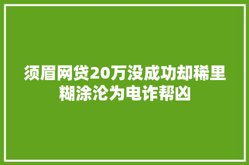 须眉网贷20万没成功却稀里糊涂沦为电诈帮凶