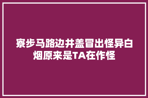 寮步马路边井盖冒出怪异白烟原来是TA在作怪