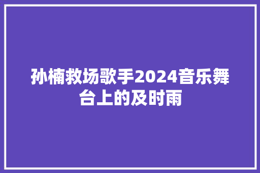 孙楠救场歌手2024音乐舞台上的及时雨