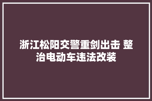 浙江松阳交警重剑出击 整治电动车违法改装