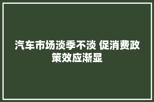 汽车市场淡季不淡 促消费政策效应渐显