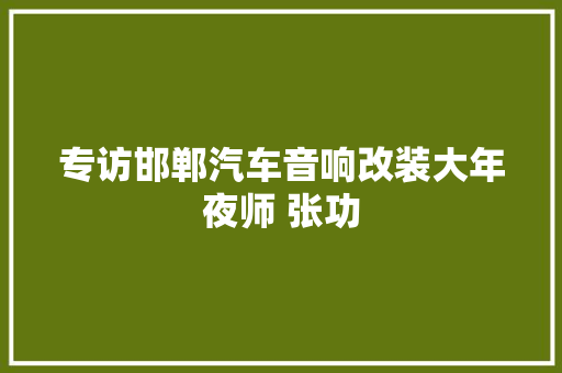 专访邯郸汽车音响改装大年夜师 张功