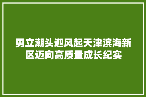 勇立潮头迎风起天津滨海新区迈向高质量成长纪实