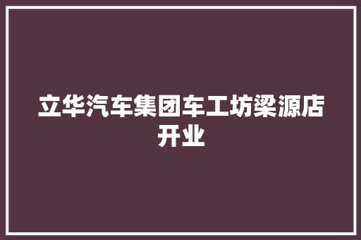 立华汽车集团车工坊梁源店开业