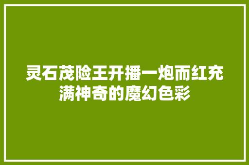 灵石茂险王开播一炮而红充满神奇的魔幻色彩