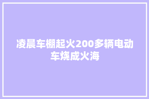 凌晨车棚起火200多辆电动车烧成火海