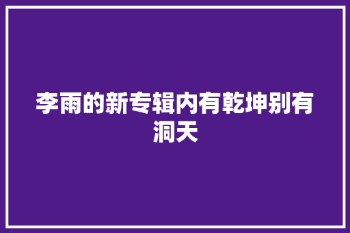 李雨的新专辑内有乾坤别有洞天