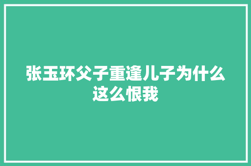 张玉环父子重逢儿子为什么这么恨我