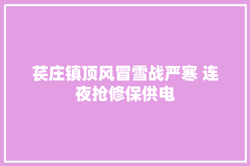 苌庄镇顶风冒雪战严寒 连夜抢修保供电