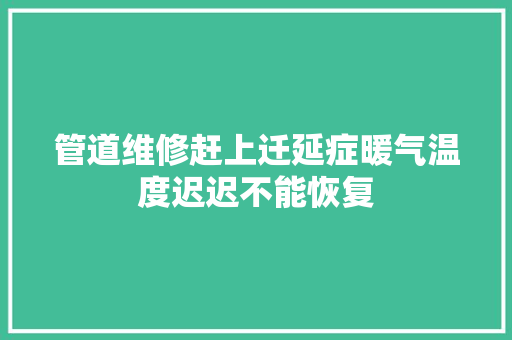管道维修赶上迁延症暖气温度迟迟不能恢复