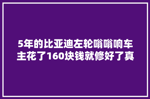 5年的比亚迪左轮嗡嗡响车主花了160块钱就修好了真是良心价 汽车知识
