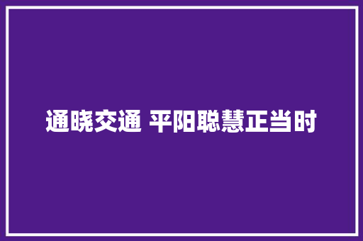 通晓交通 平阳聪慧正当时