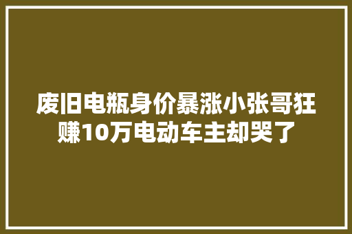 废旧电瓶身价暴涨小张哥狂赚10万电动车主却哭了