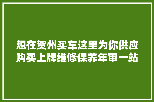 想在贺州买车这里为你供应购买上牌维修保养年审一站式做事