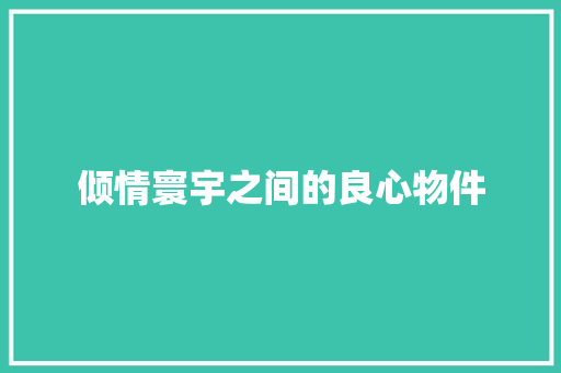 倾情寰宇之间的良心物件