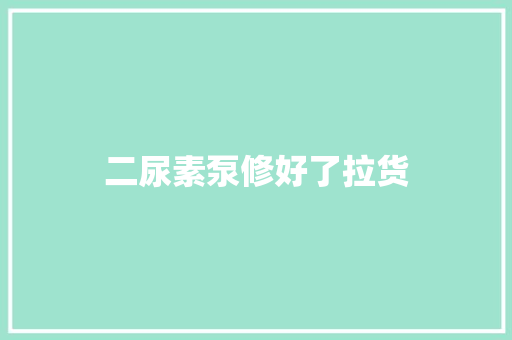 二尿素泵修好了拉货