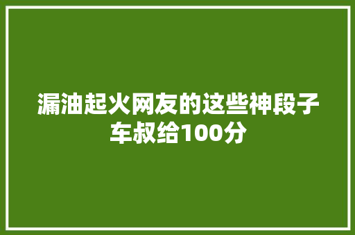 漏油起火网友的这些神段子车叔给100分